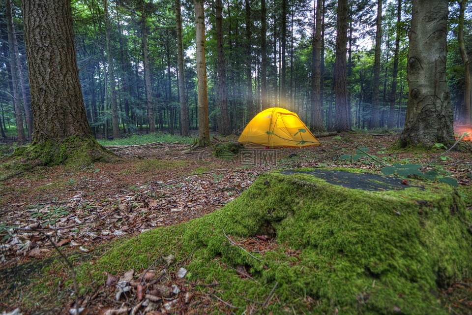 露營,帳篷,荒野