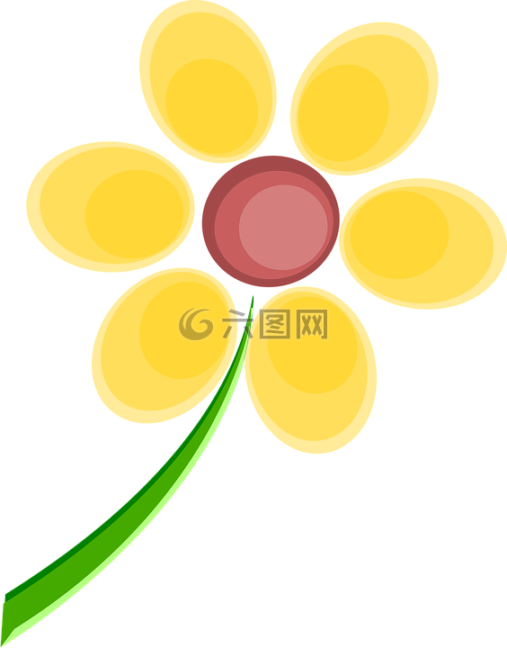 花,黄色,植物