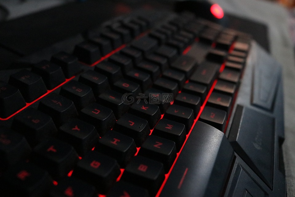 键盘,红色,冷却器的主人