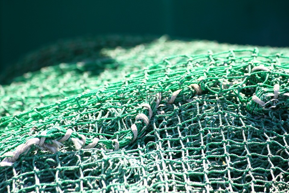 捕鱼业,海港氛围,捕鱼网