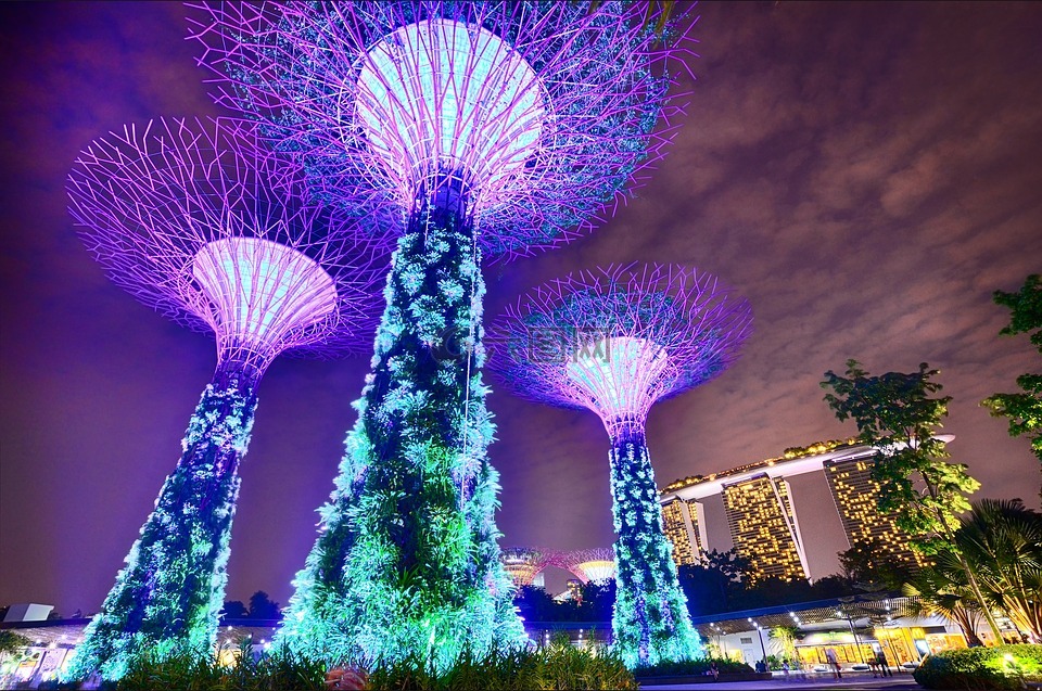 新加坡,海湾花园,长时间曝光