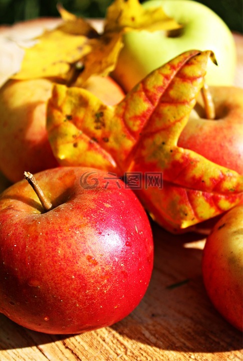 苹果,秋季,水果