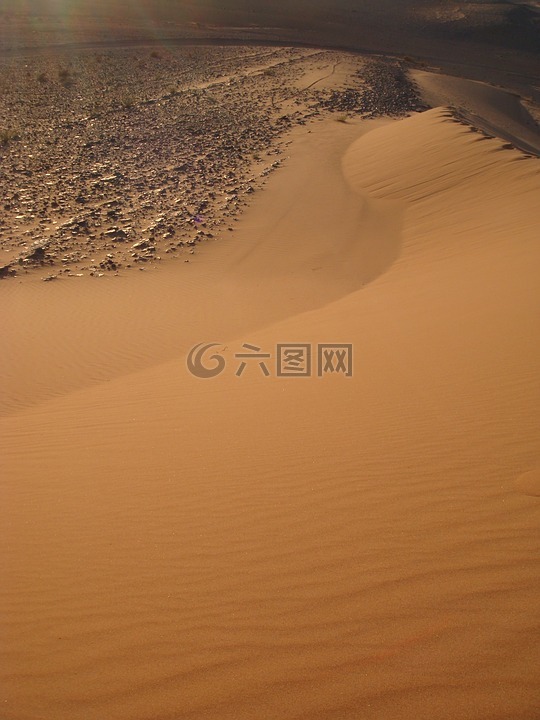 沙丘,撒哈拉沙漠,沙漠