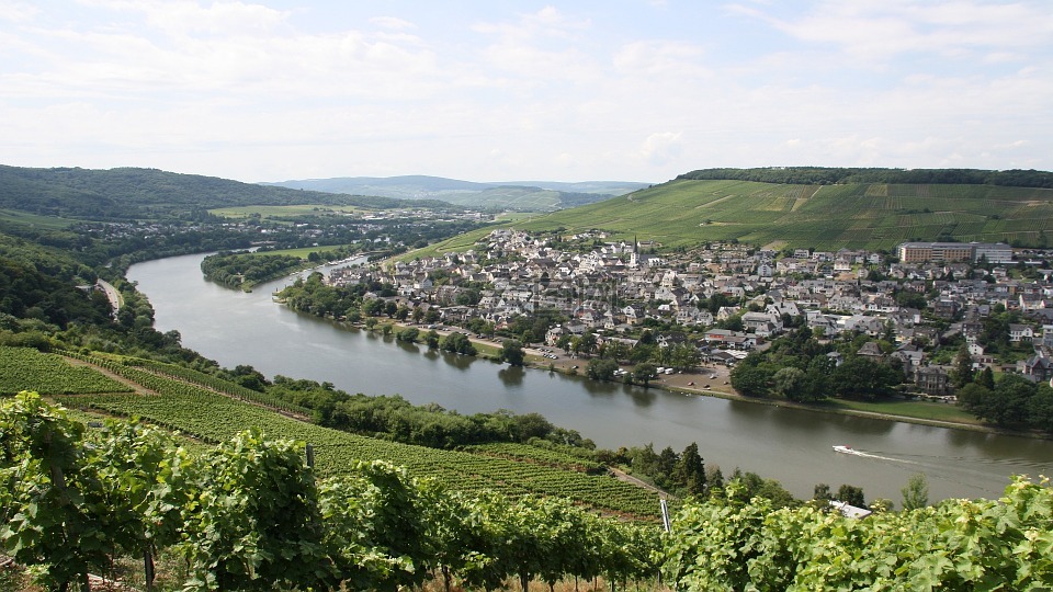 mosel,葡萄酒,葡萄园