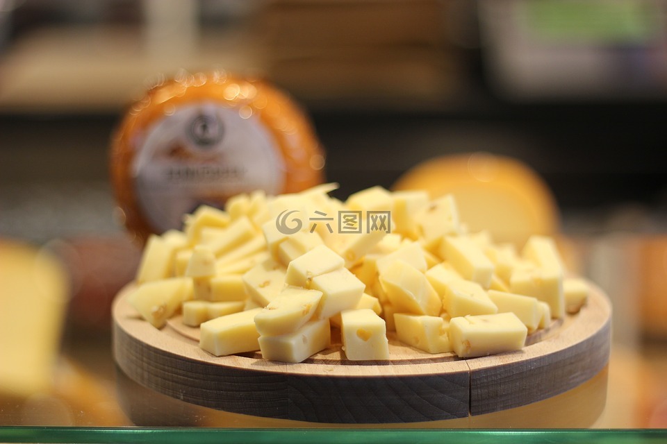 奶酪,食品,鹿特丹