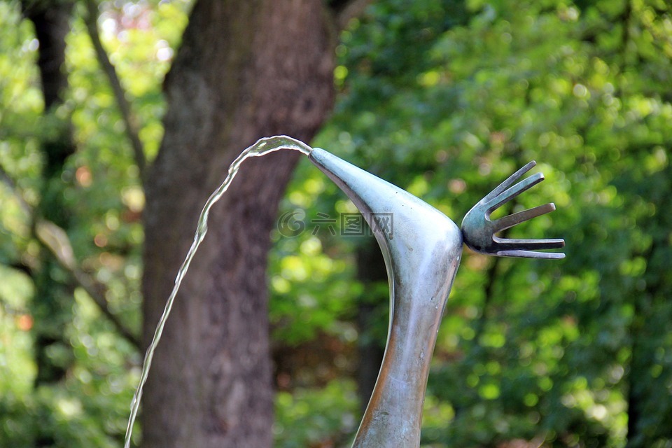 brunenn,水,水射流