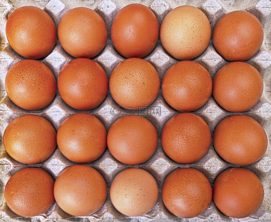 蛋,放养鸡蛋,很多鸡蛋