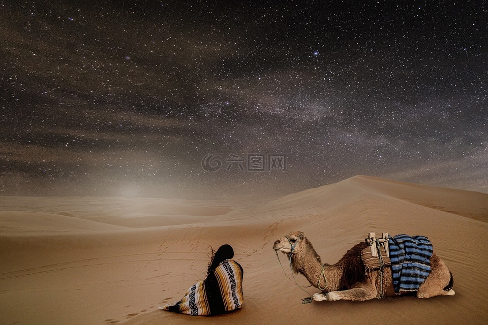 沙漠,夜,繁星点点的天空