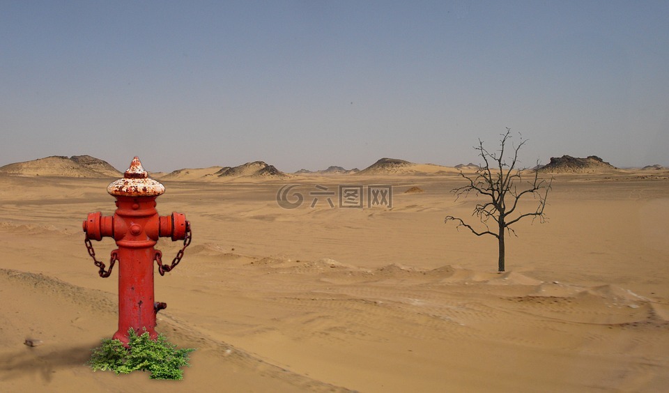 沙漠,水,沙