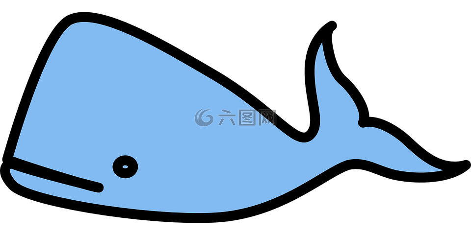 鲸鱼,鱼,蓝色
