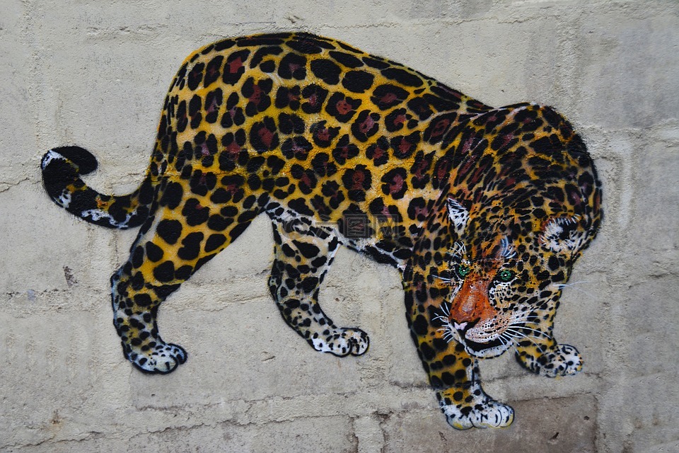 豹,墙体艺术,涂鸦