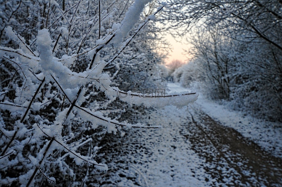 雪,路径,奥罗拉