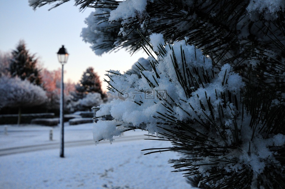 雪,景观,奥罗拉