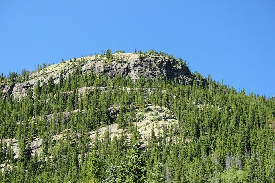 山,森林,落基山国家公园