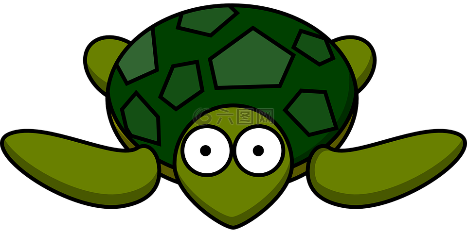 龟,绿色,外壳