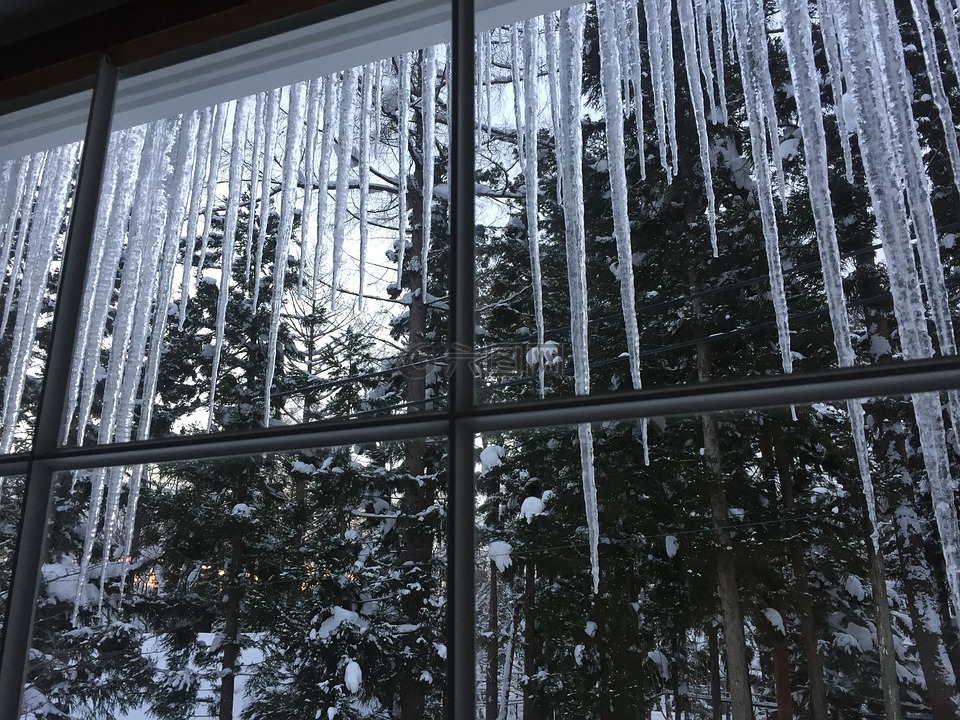 雪,冬天,冰冷