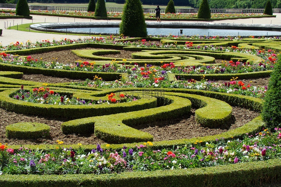 凡尔赛宫,花园,鲜花