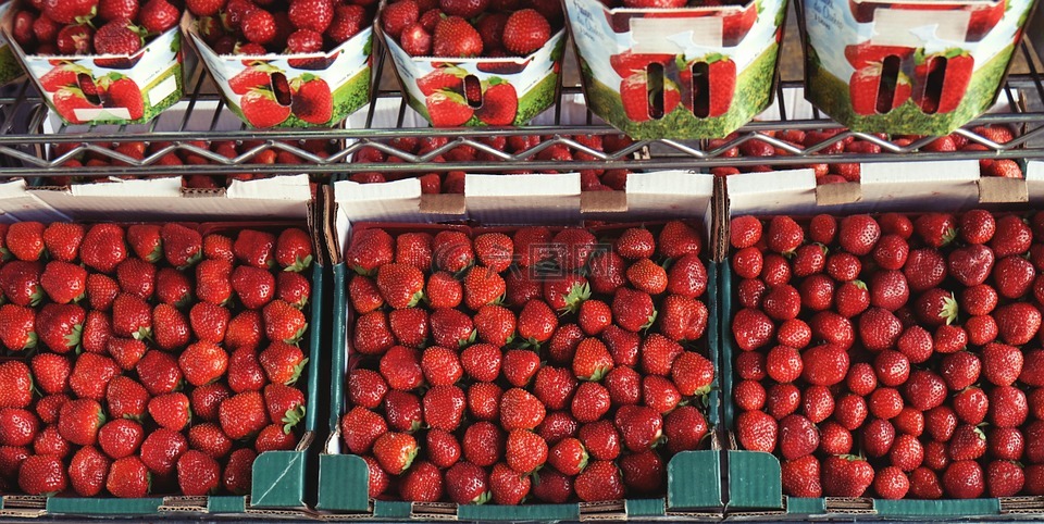 草莓,生产,食品