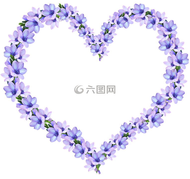帧,紫色,鲜花