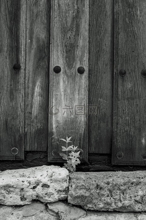 门,植物,石