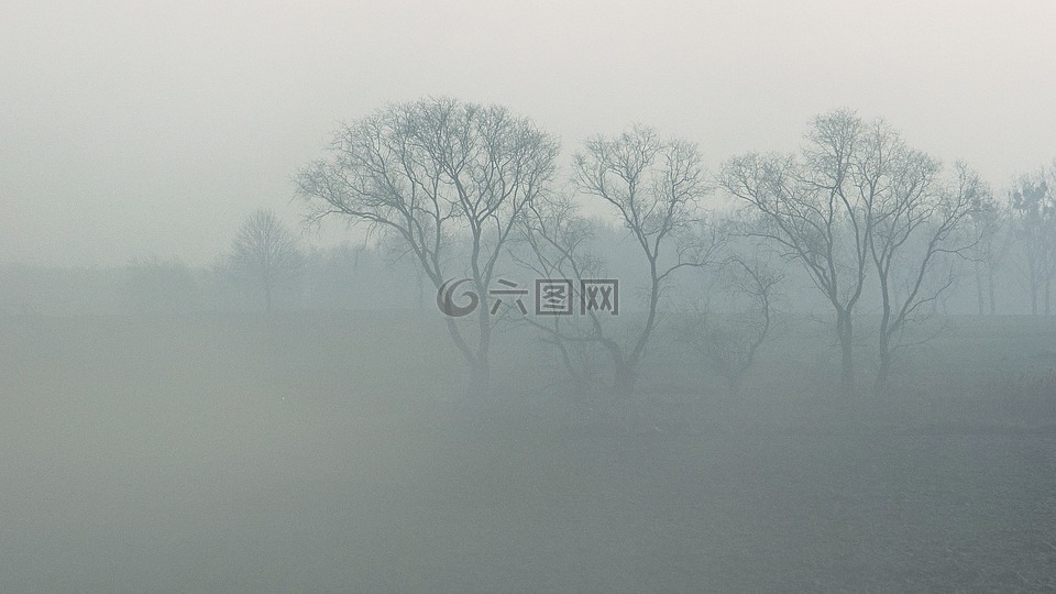 雾,阴霾,景观