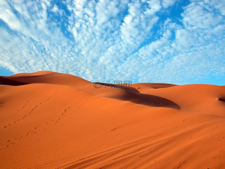 沙漠,夏,摩洛哥