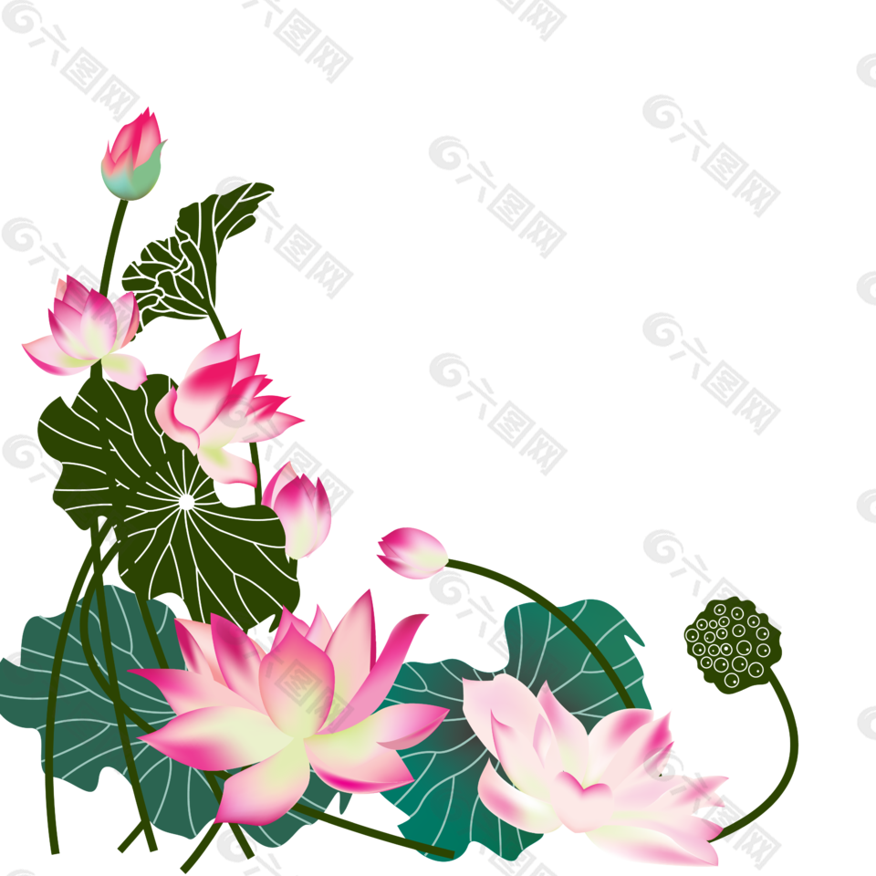 夏天莲叶荷花图片 夏天莲叶荷花素材 夏天莲叶荷花模板免费下载 六图网