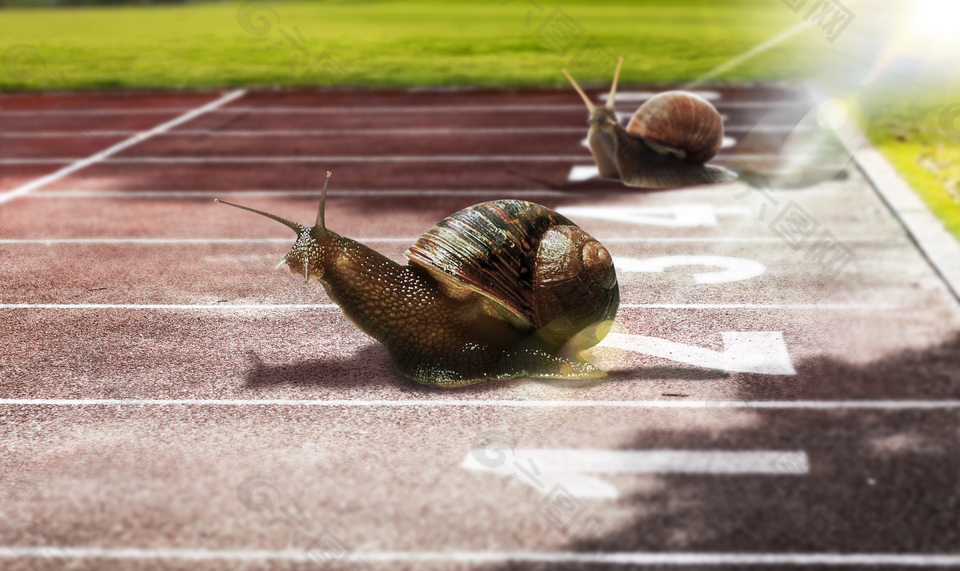 跑道上的蜗牛
