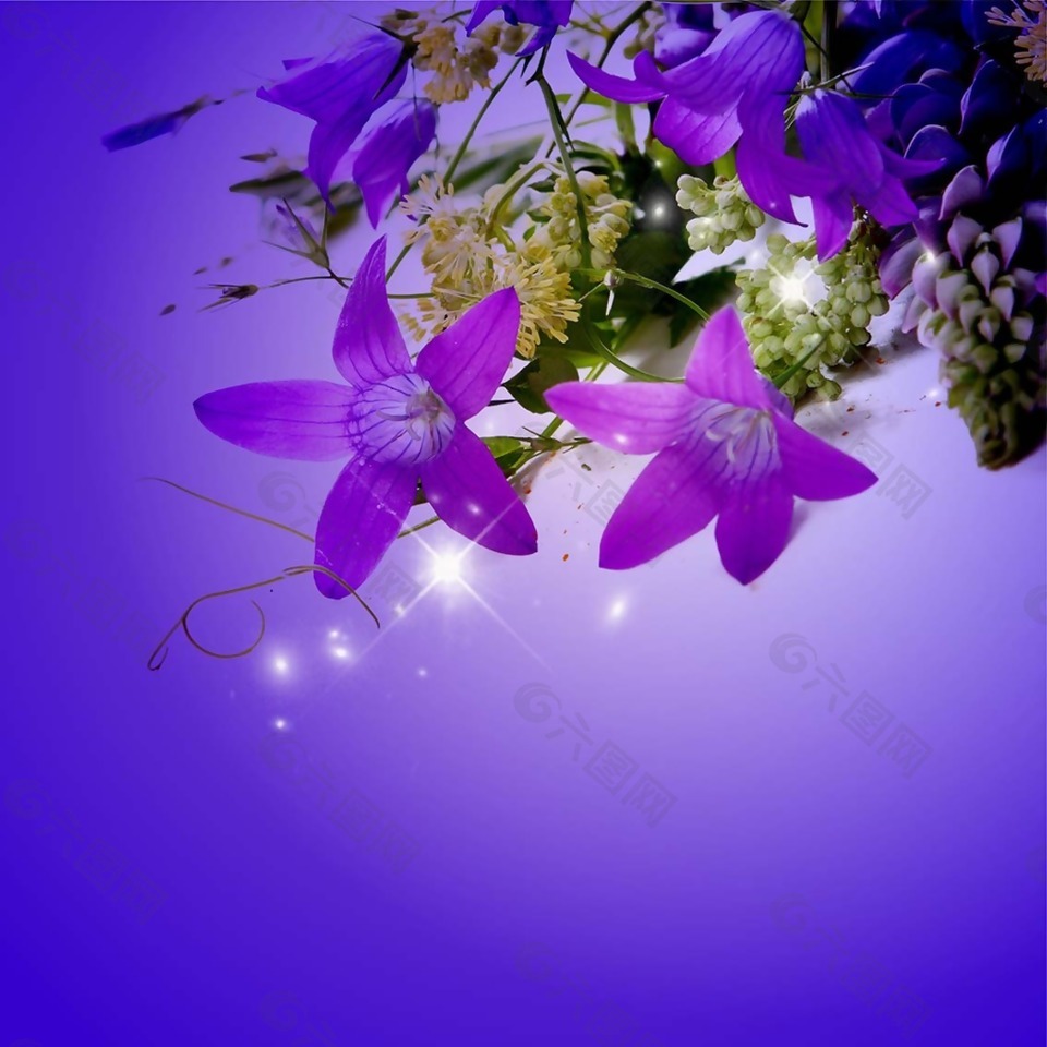 紫蓝色花朵素材平面广告素材免费下载(图片编号:7719128)