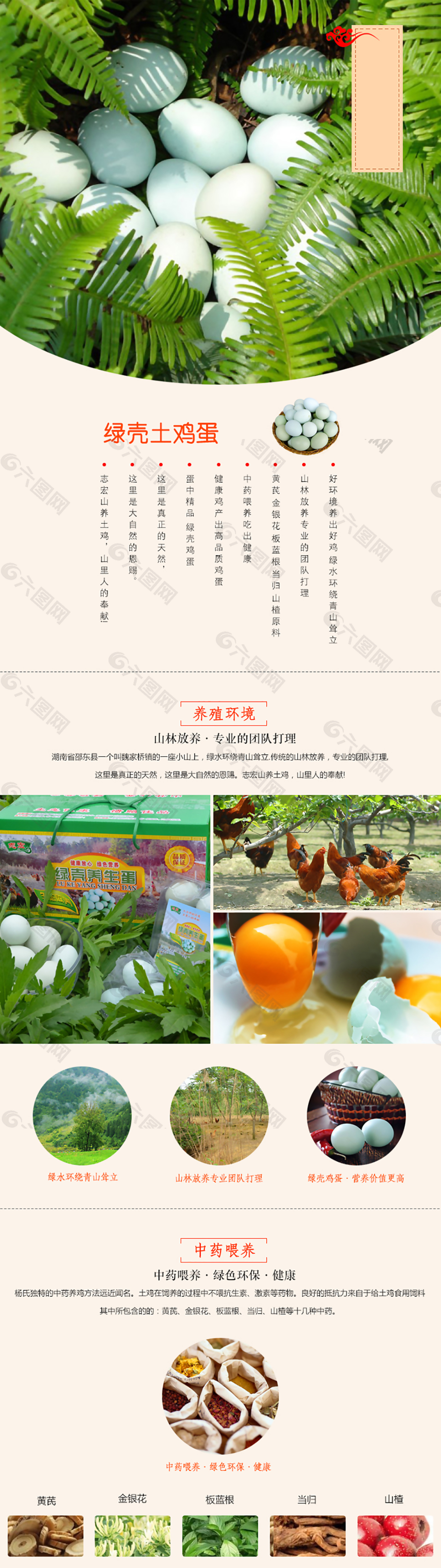绿壳土鸡蛋详情