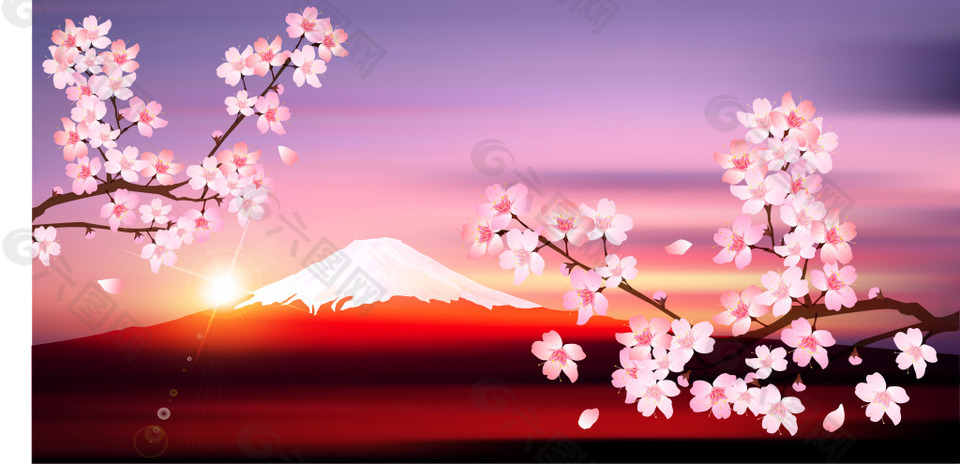 富士山下的樱花