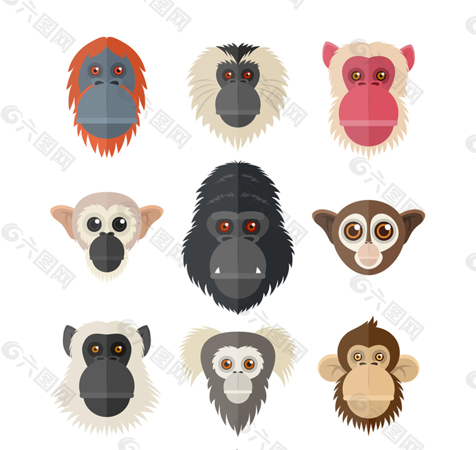 创意猴子和猩猩头像