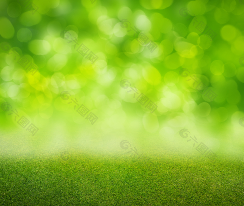 三草两木绿色背景图图片