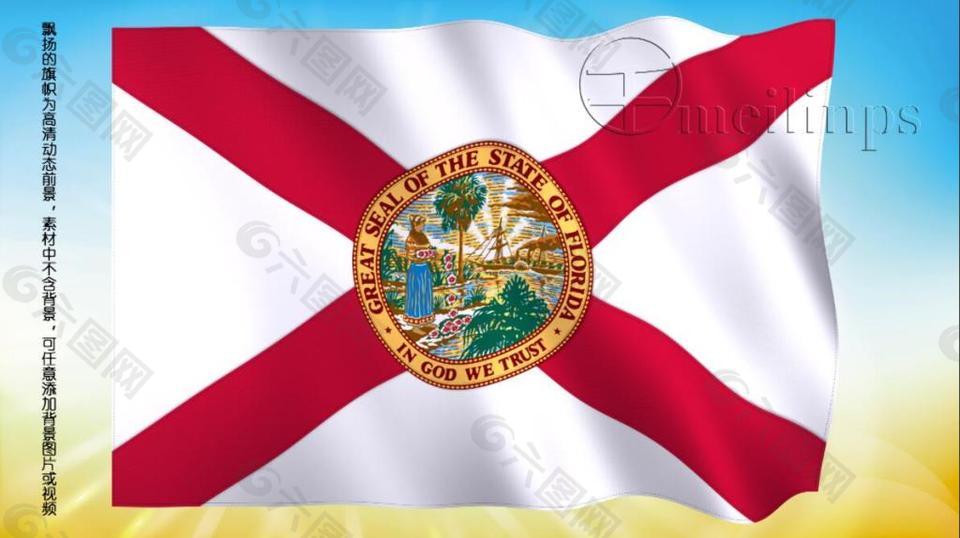 动态前景旗帜飘扬230 佛罗里达州