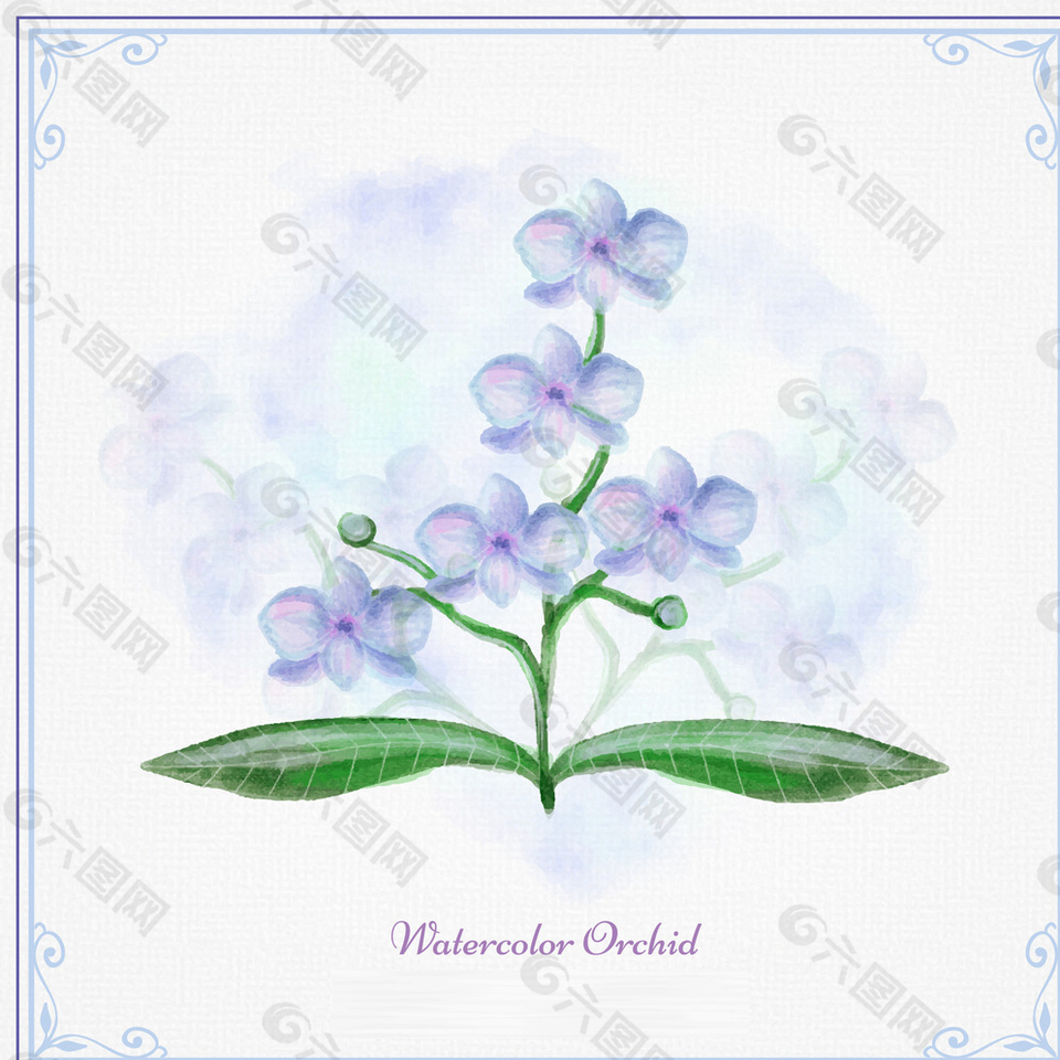 蓝色水彩兰花图片