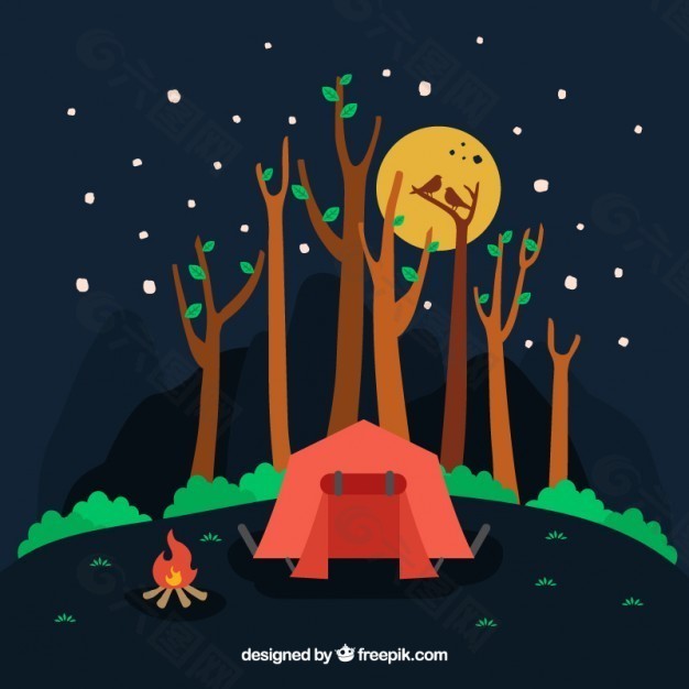 夜间在森林里野营