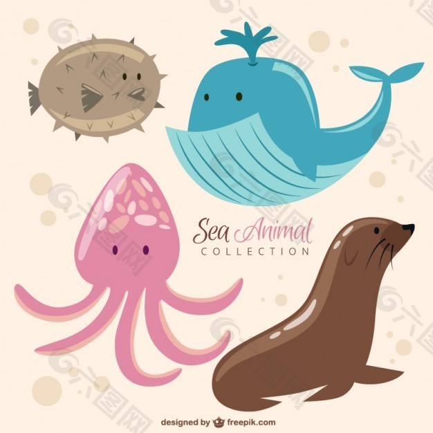 有趣的海洋动物收藏