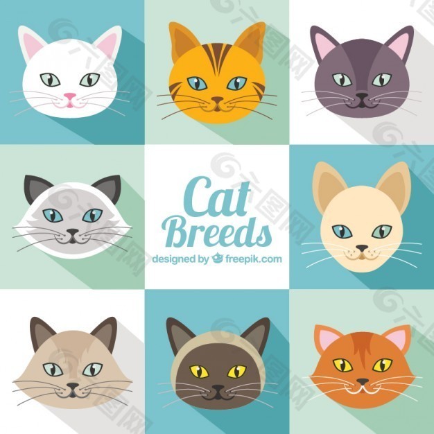 猫在平面设计中繁殖包