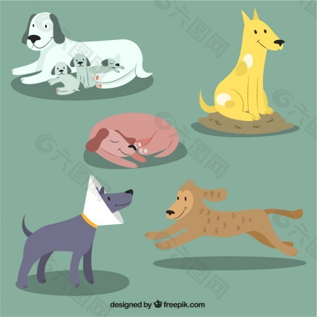 可爱的狗的插图