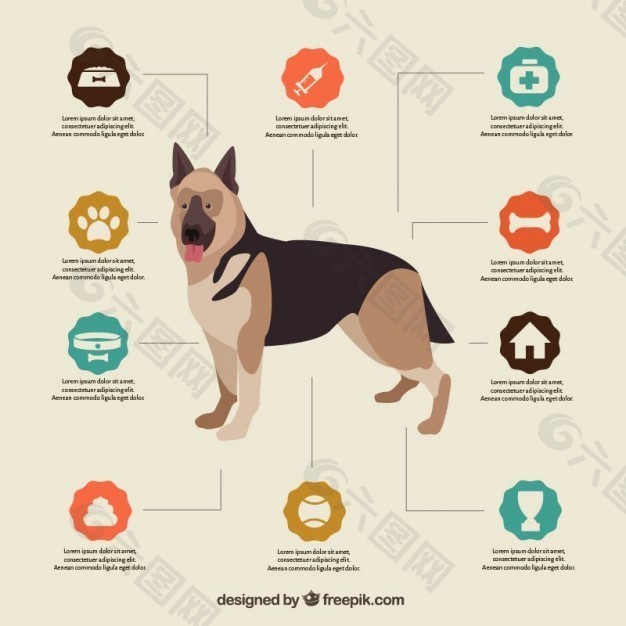 狗的信息图表