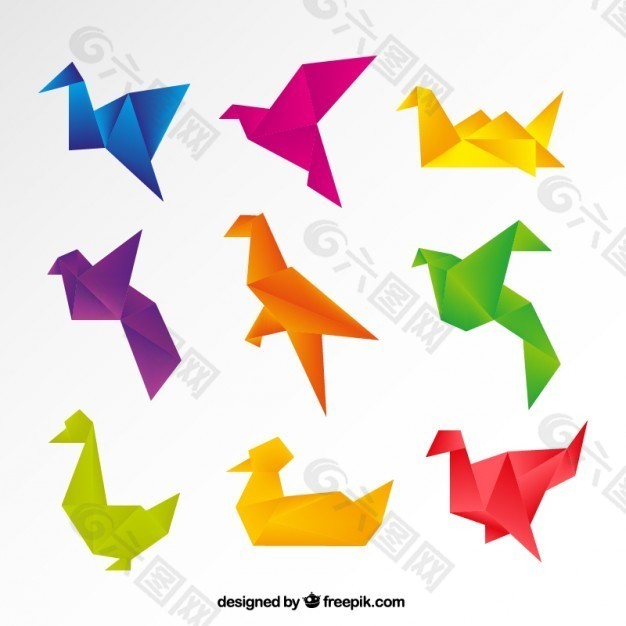 丰富多彩的鸟类