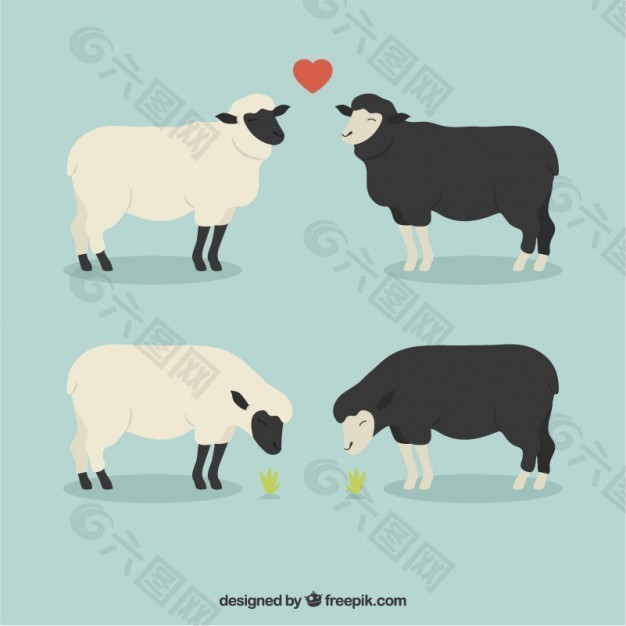 羊在爱