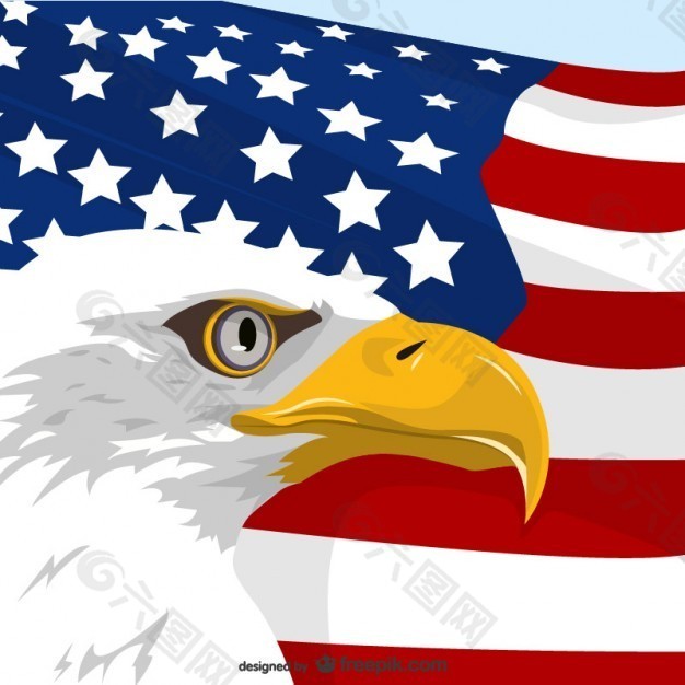 美国鹰和美国国旗