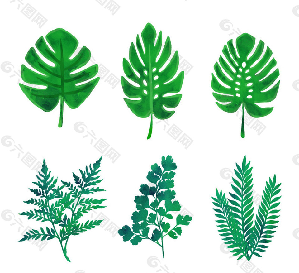6款绿色植物叶子矢量素材