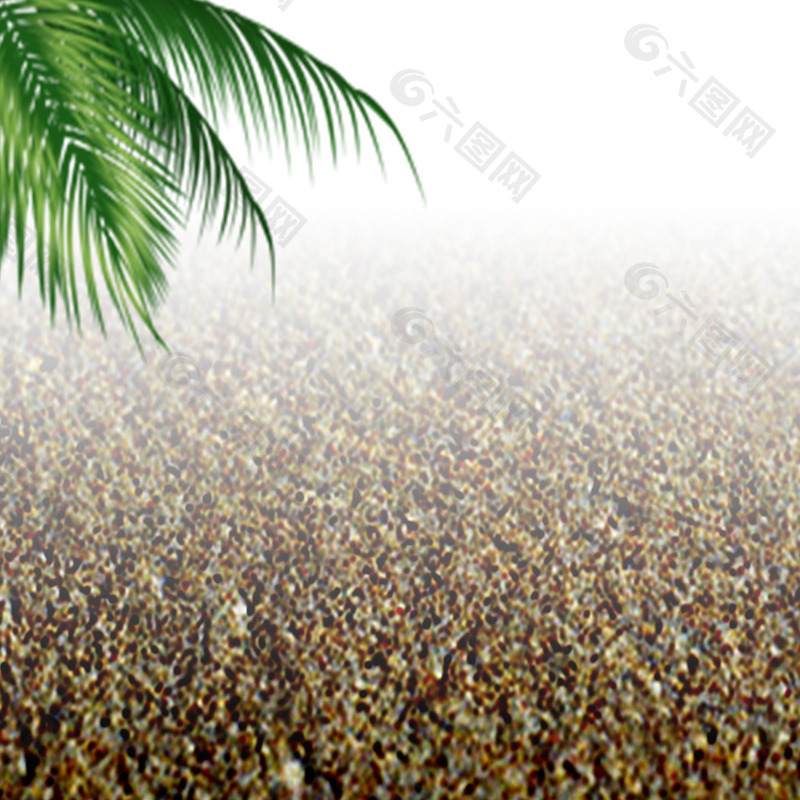 海滩椰子树淘宝主图背景