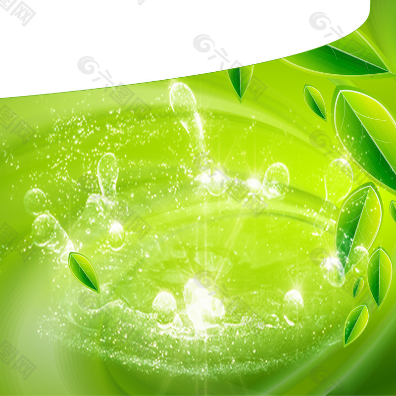 绿色水树叶主图
