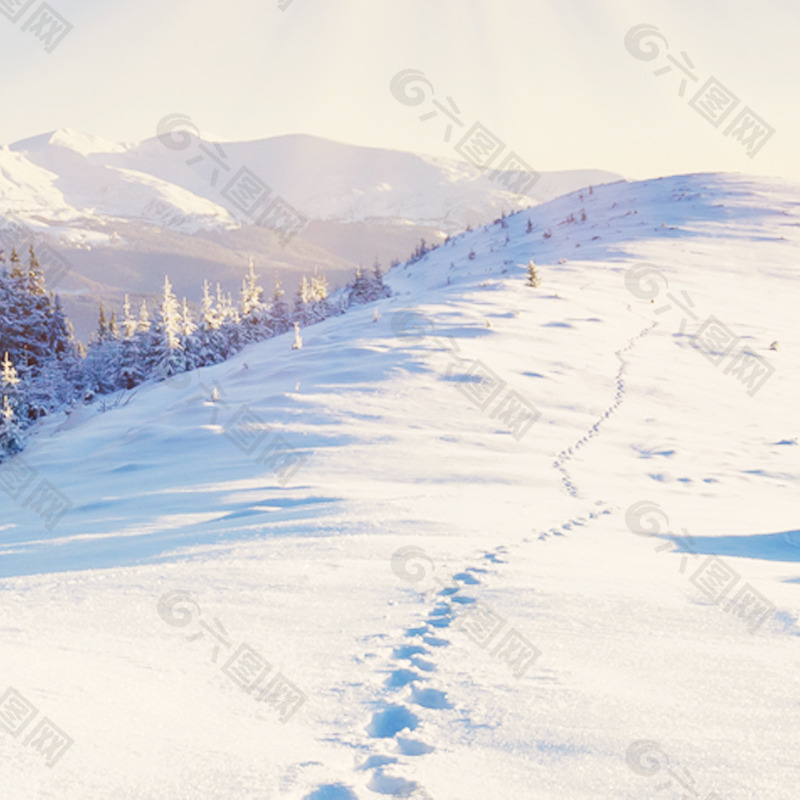 雪景主图