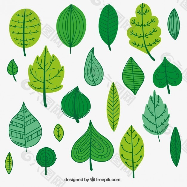 绿色的叶子说明