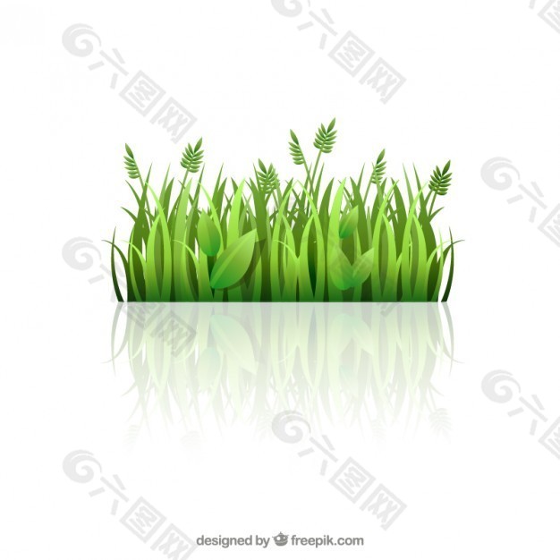 绿色的草