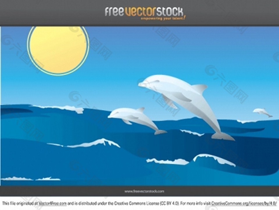 自由可爱的海豚